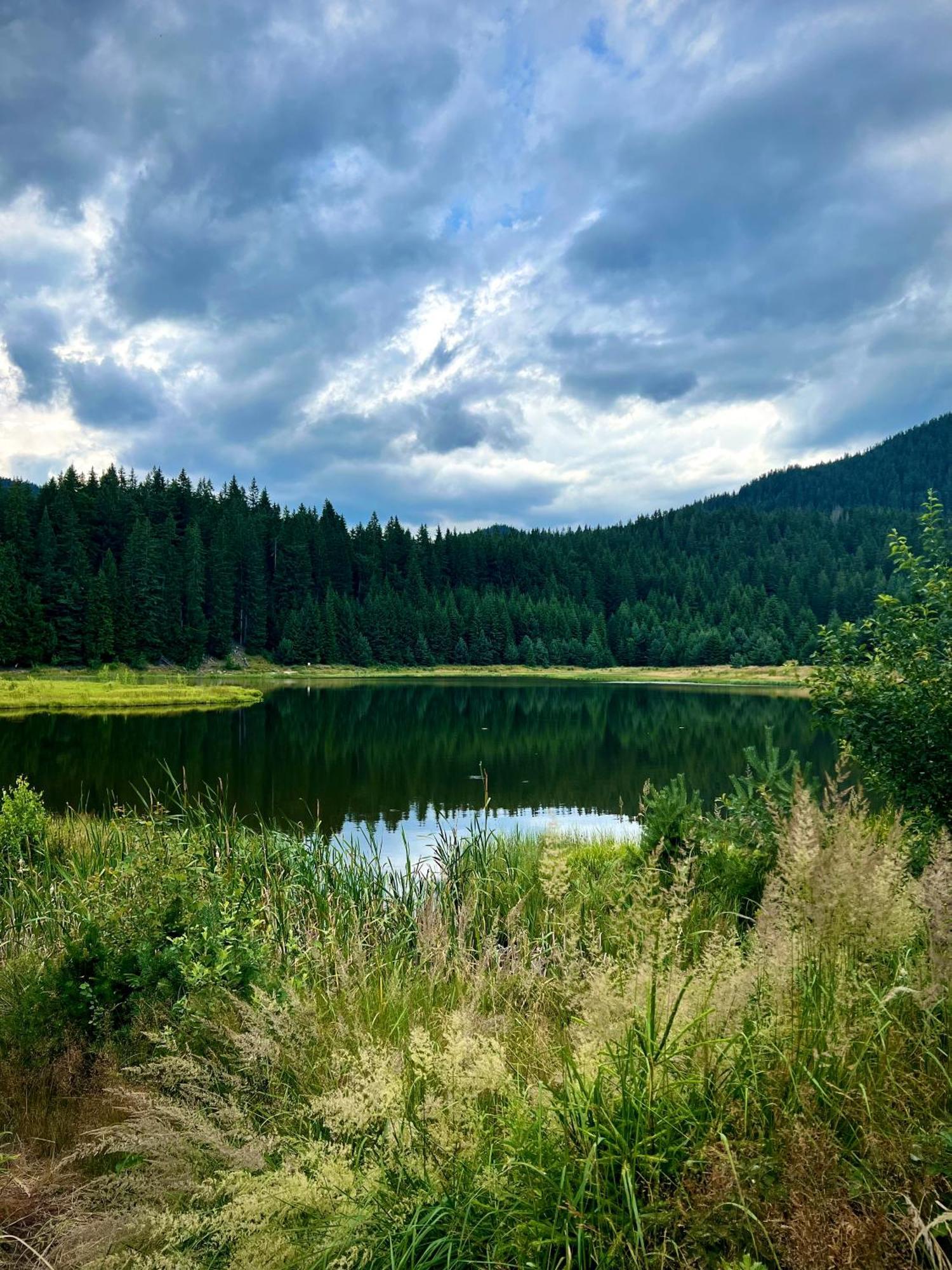 Relax Aпартаменти, Смолянски Езера, Вила Венера, К-С Маунтин Лейк Buitenkant foto