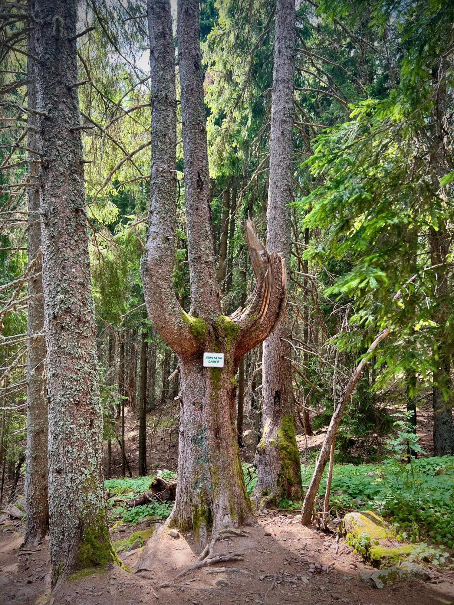 Relax Aпартаменти, Смолянски Езера, Вила Венера, К-С Маунтин Лейк Buitenkant foto