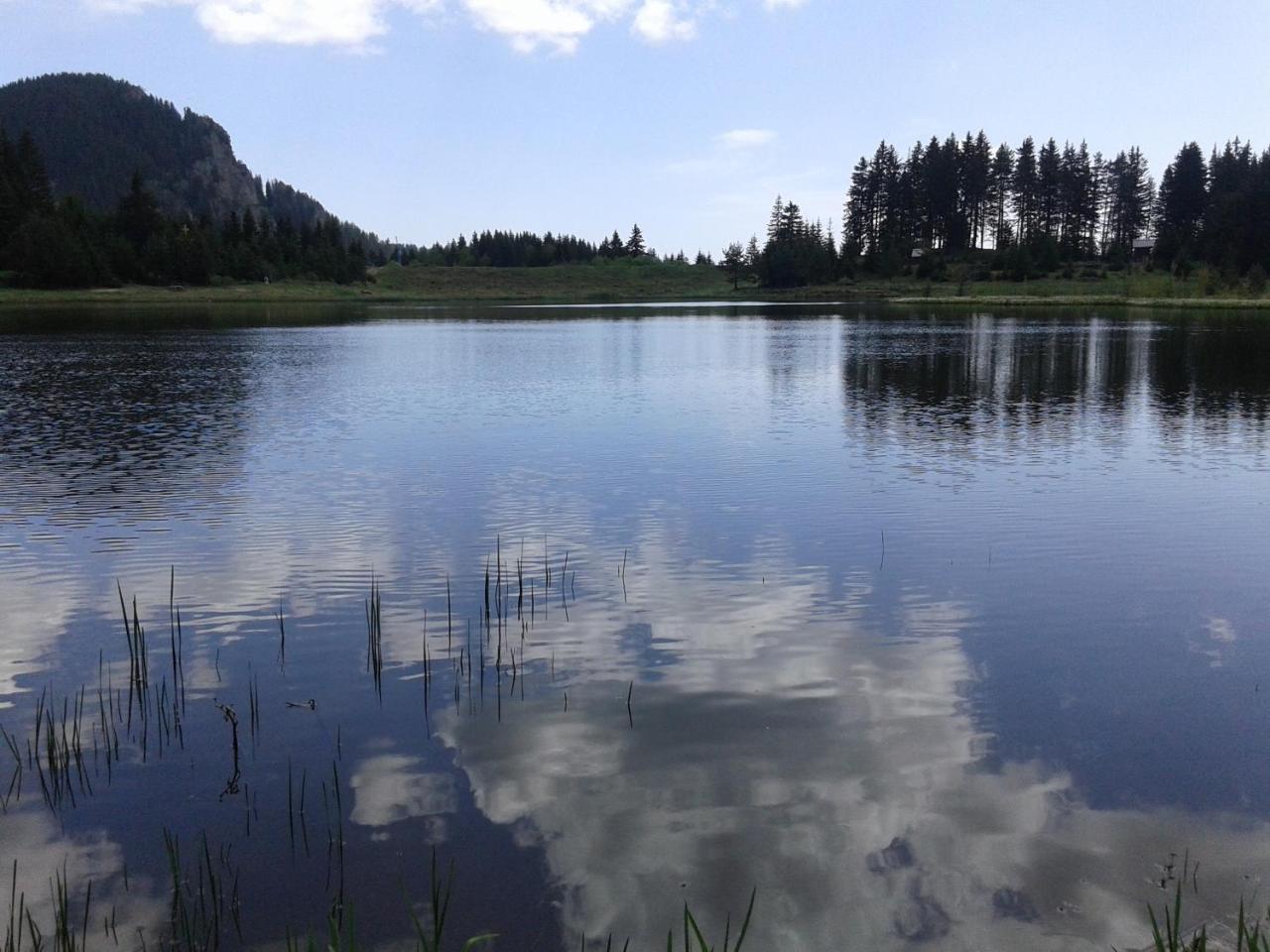 Relax Aпартаменти, Смолянски Езера, Вила Венера, К-С Маунтин Лейк Buitenkant foto